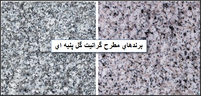 سنگ گرانیت گل پنبه ای | مقایسه بهترین برندهای گرانیت سفید